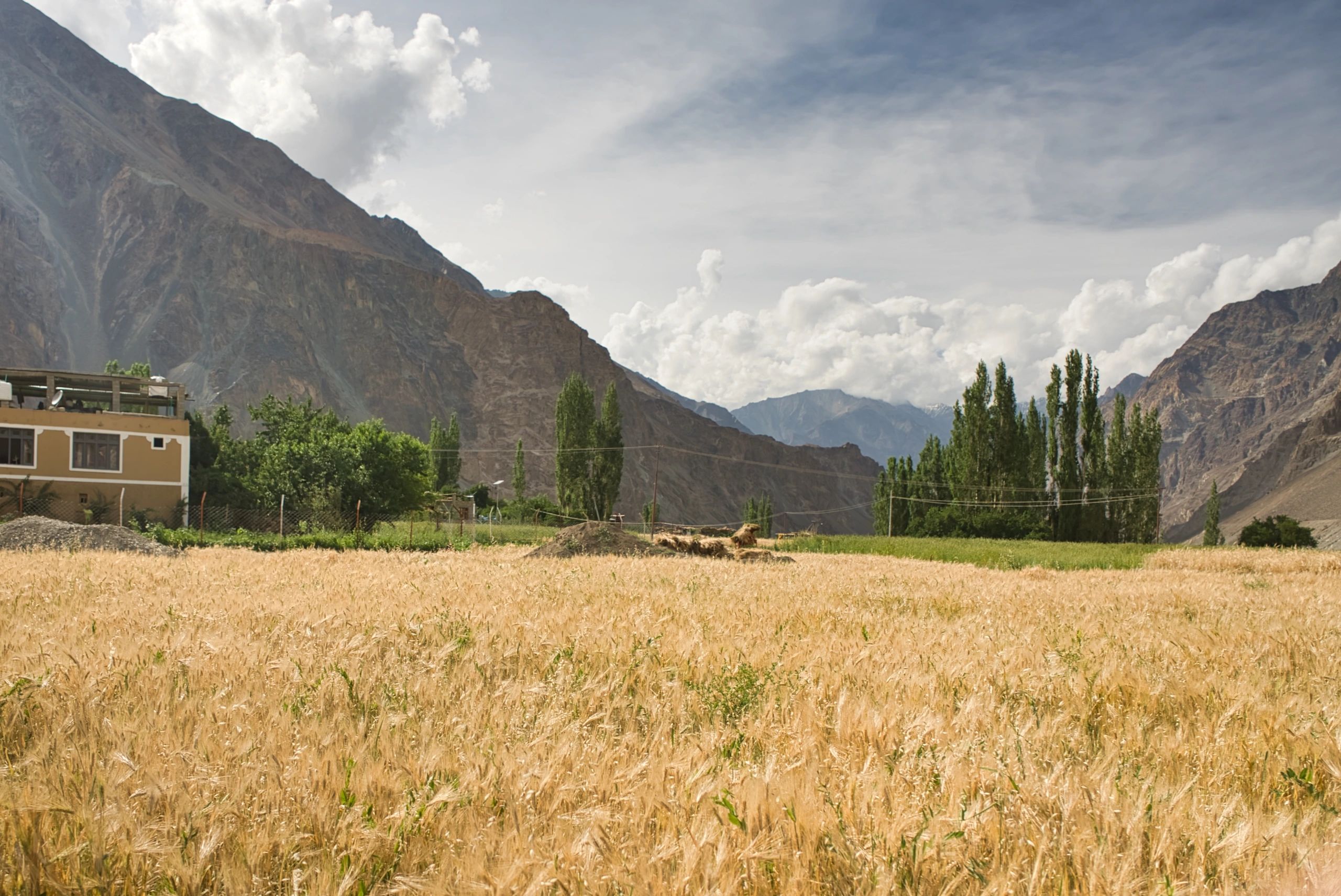 High-altitude Himalayan valley with fields