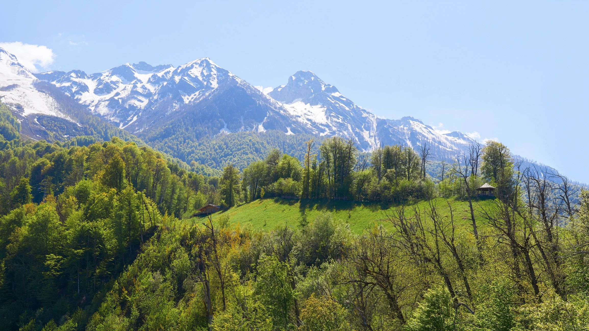 Serene mountain landscape evoking the calm of Himalayan wellness journeys